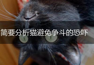 简要分析猫避免争斗的恐吓