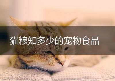 猫粮知多少的宠物食品