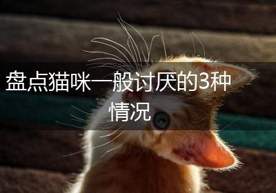 盘点猫咪一般讨厌的3种情况