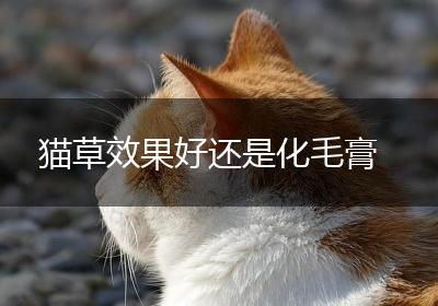猫草效果好还是化毛膏