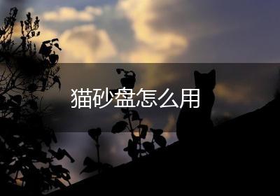 猫砂盘怎么用