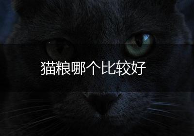 猫粮哪个比较好