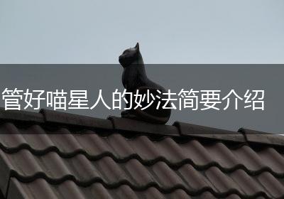 管好喵星人的妙法简要介绍