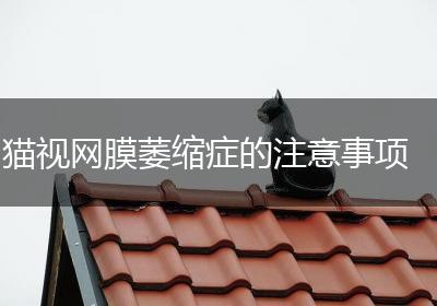 猫视网膜萎缩症的注意事项