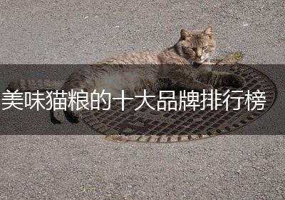 美味猫粮的十大品牌排行榜