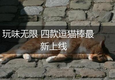 玩味无限 四款逗猫棒最新上线