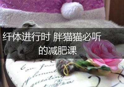 纤体进行时 胖猫猫必听的减肥课