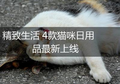 精致生活 4款猫咪日用品最新上线