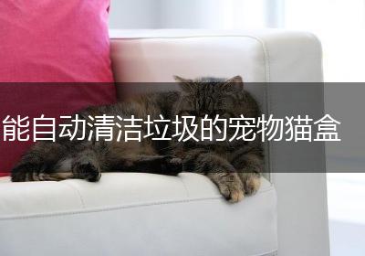 能自动清洁垃圾的宠物猫盒