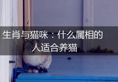 生肖与猫咪：什么属相的人适合养猫