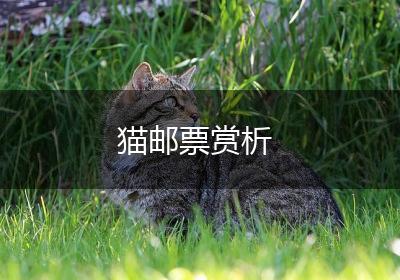 猫邮票赏析