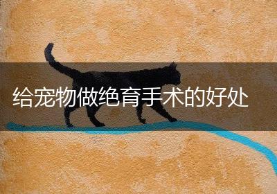 给宠物做绝育手术的好处