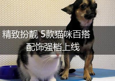 精致扮靓 5款猫咪百搭配饰强档上线