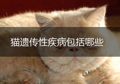 猫遗传性疾病包括哪些