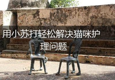 用小苏打轻松解决猫咪护理问题