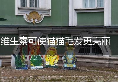 维生素可使猫猫毛发更亮丽
