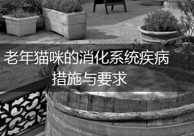 老年猫咪的消化系统疾病措施与要求