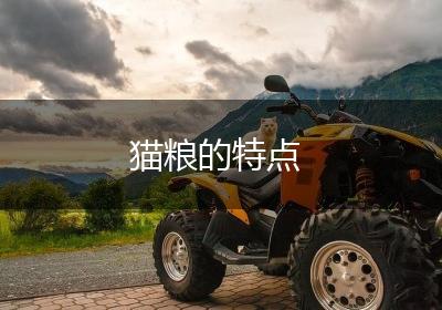 猫粮的特点