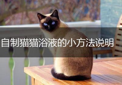 自制猫猫浴液的小方法说明