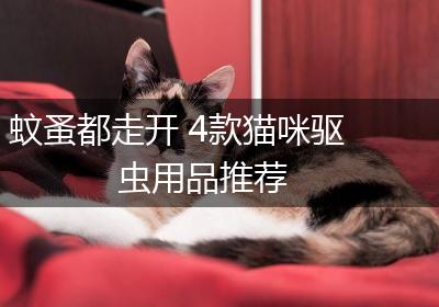 蚊蚤都走开 4款猫咪驱虫用品推荐