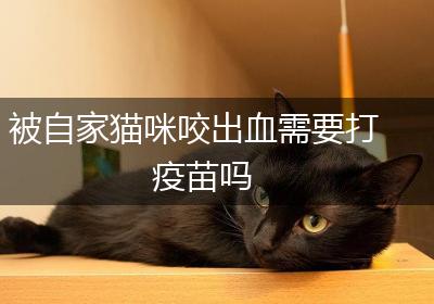 被自家猫咪咬出血需要打疫苗吗