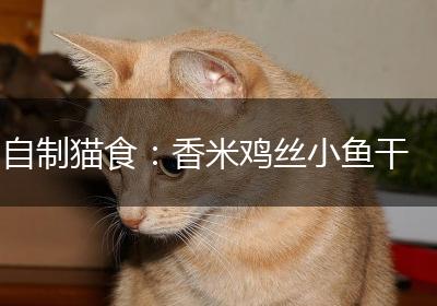 自制猫食：香米鸡丝小鱼干