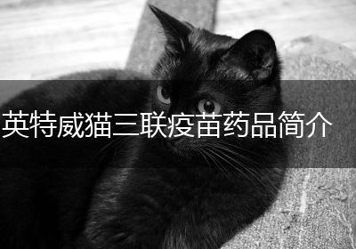 英特威猫三联疫苗药品简介