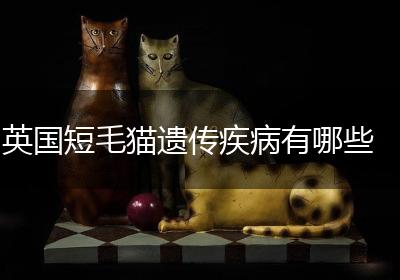 英国短毛猫遗传疾病有哪些