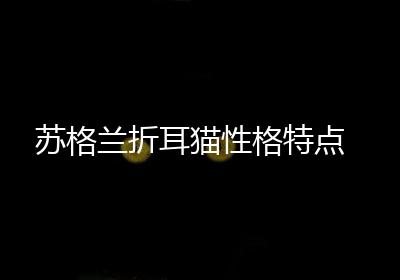苏格兰折耳猫性格特点