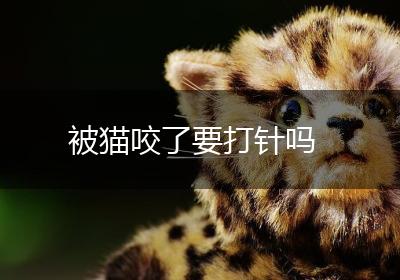 被猫咬了要打针吗