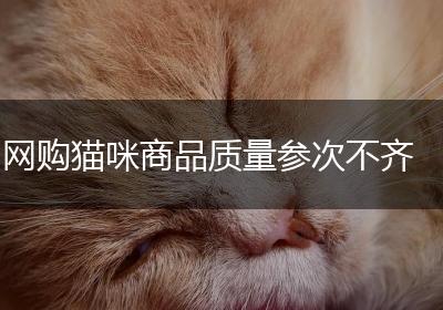 网购猫咪商品质量参次不齐