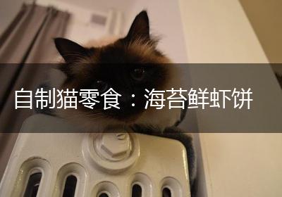 自制猫零食：海苔鲜虾饼