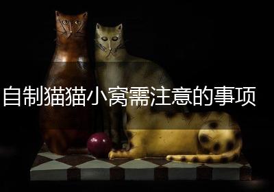 自制猫猫小窝需注意的事项