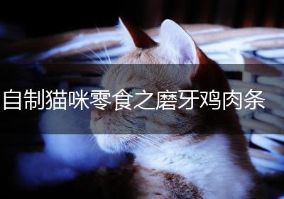 自制猫咪零食之磨牙鸡肉条