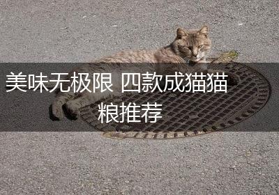 美味无极限 四款成猫猫粮推荐