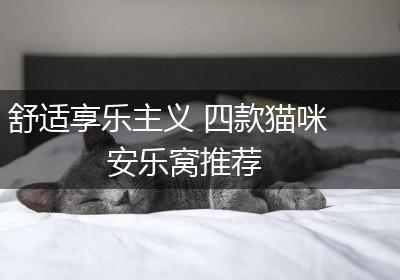 舒适享乐主义 四款猫咪安乐窝推荐