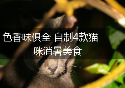色香味俱全 自制4款猫咪消暑美食