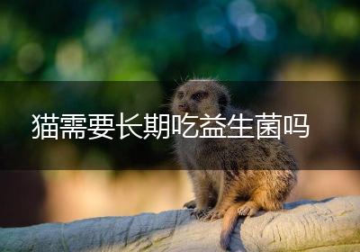 猫需要长期吃益生菌吗