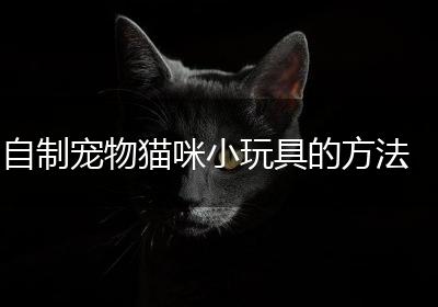 自制宠物猫咪小玩具的方法