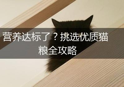 营养达标了？挑选优质猫粮全攻略