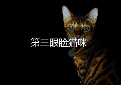 第三眼睑猫咪