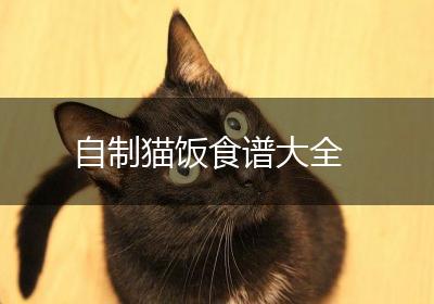 自制猫饭食谱大全