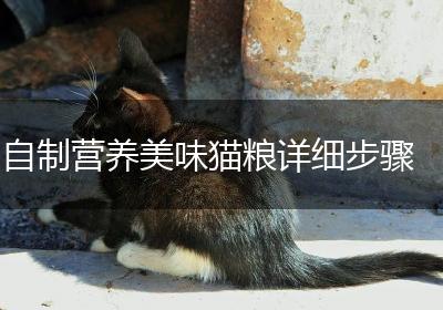 自制营养美味猫粮详细步骤