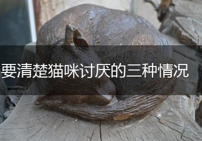 要清楚猫咪讨厌的三种情况