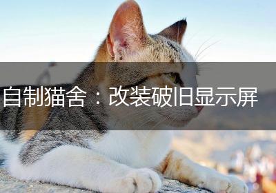 自制猫舍：改装破旧显示屏