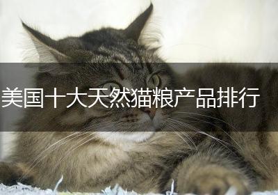 美国十大天然猫粮产品排行