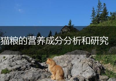 猫粮的营养成分分析和研究