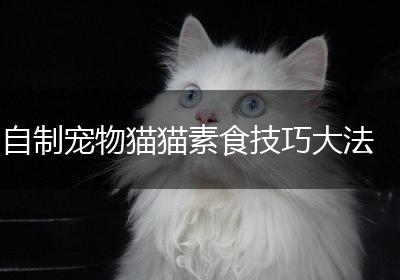 自制宠物猫猫素食技巧大法