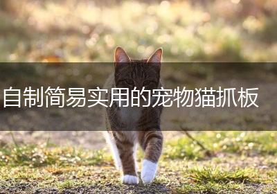 自制简易实用的宠物猫抓板