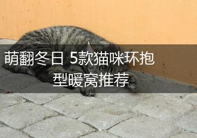 萌翻冬日 5款猫咪环抱型暖窝推荐
